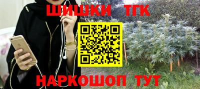 герыч Камышлов